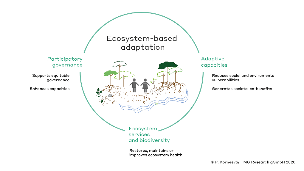 A conceptual framework for Ecosystem-based Adaptation