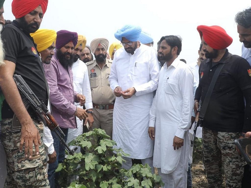 Punjab agriculture minister said strict action would be taken against any person found selling counterfeit pesticides or charging higher than the given rates.