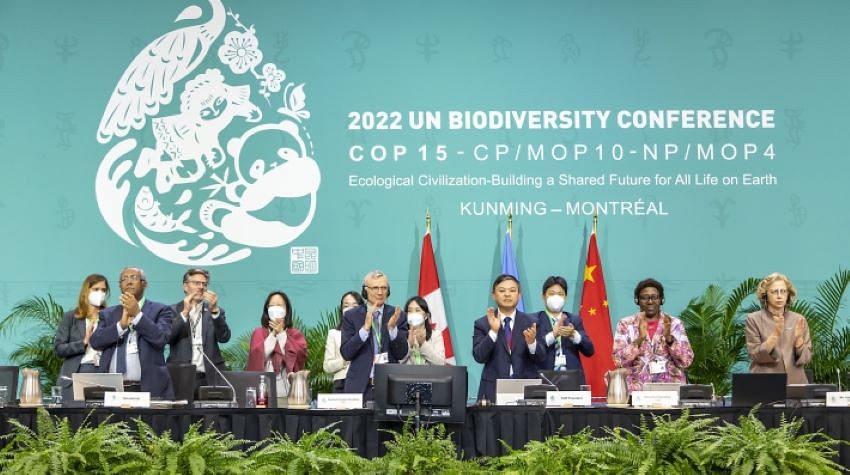 Biodiversity deal aims to reduce the rate of extinction and the risk to species by tenfold by 2050