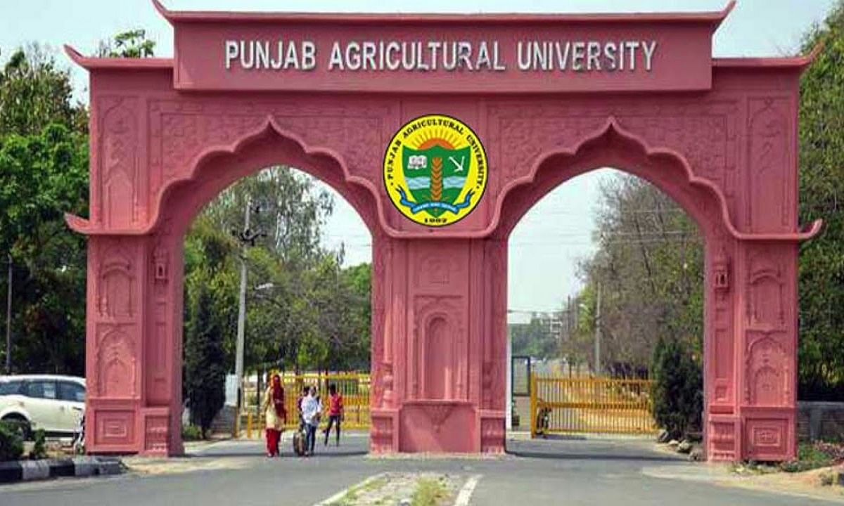Punjab Agricultural university
