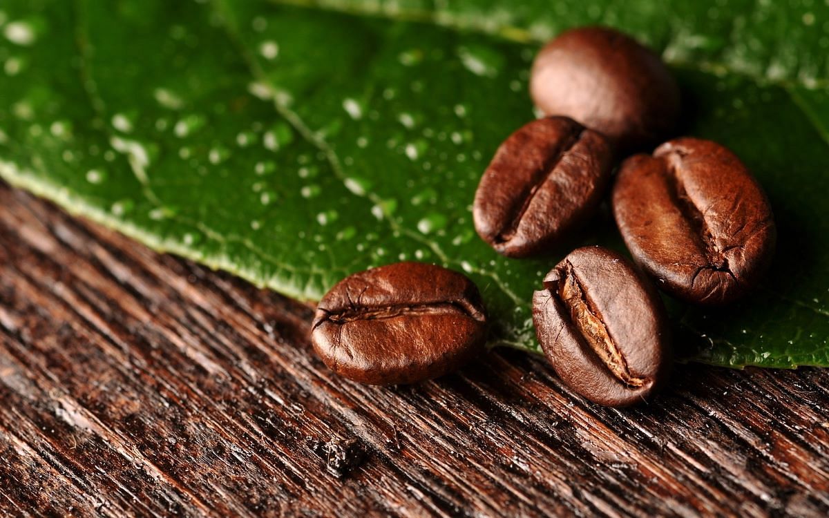 Coffee Export Projections Show Significant Increase for Next Two Quarters