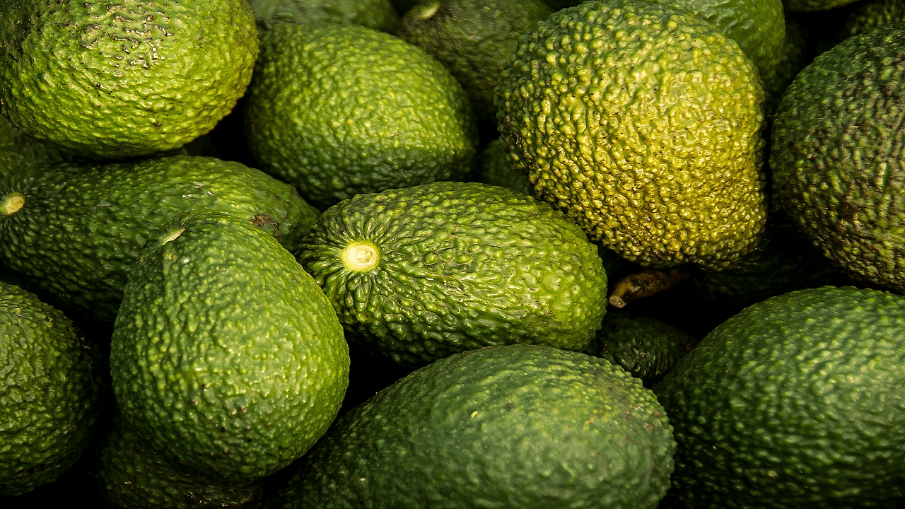 Avocados (Photo Courtesy: Pixabay)