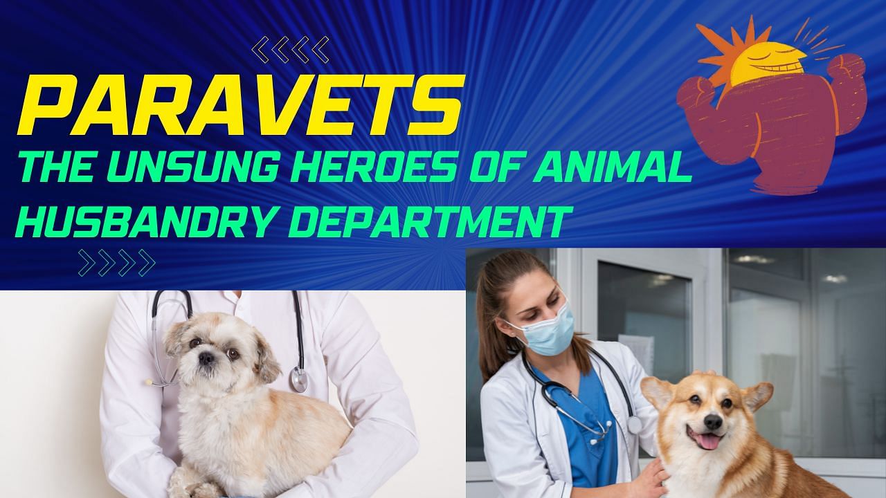 J&K para-veterinary officials are a broad group of animal health professionals. (Image Courtesy- Freepik)