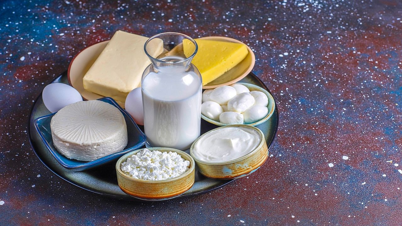 The scope of this extensive survey encompasses a wide range of dairy products. (Image Courtesy- Freepik)