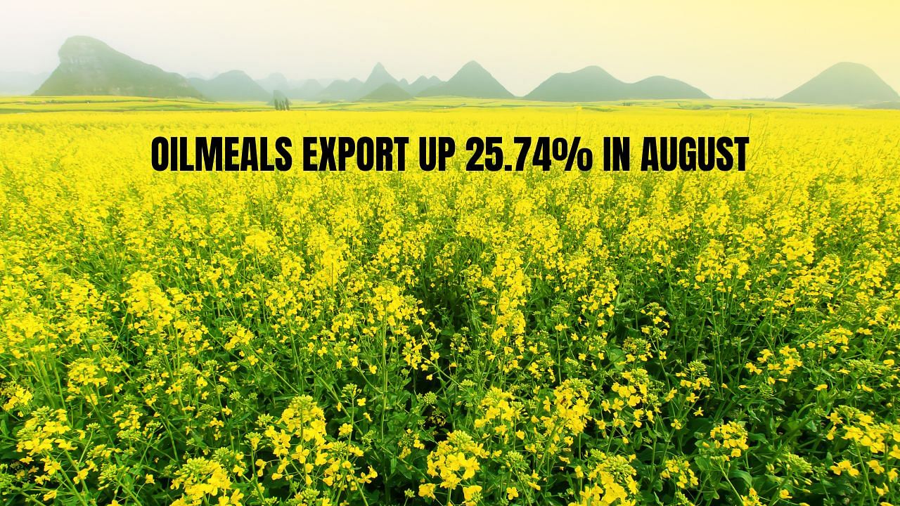 During April-August, South Korea imported 3.82 lt of oilmeals (4.52 lt) from India. (Image Courtesy- Canva)