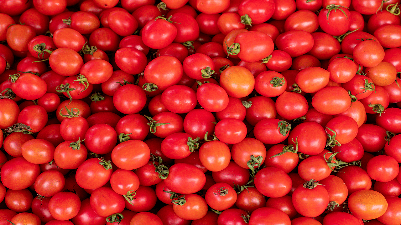 Tomato in the market  (Photo Courtesy: Freepik)