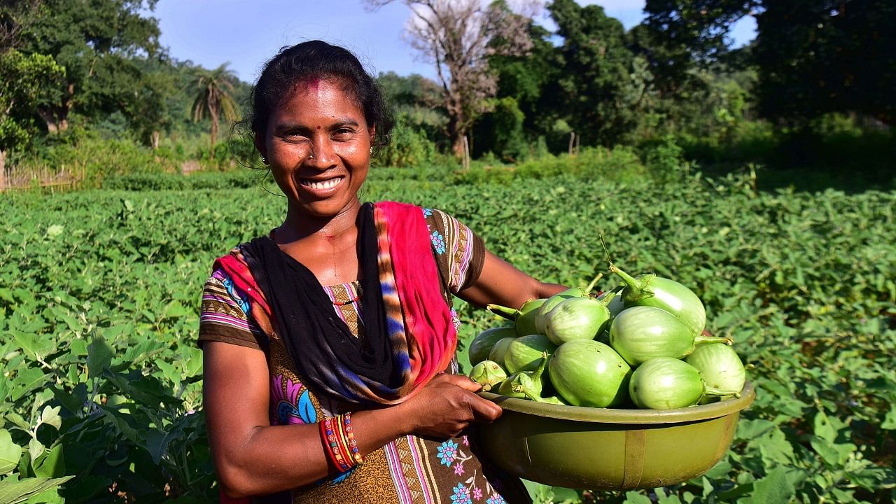 PRADAN - Muni Heprika with her agricultural produce, brinjals