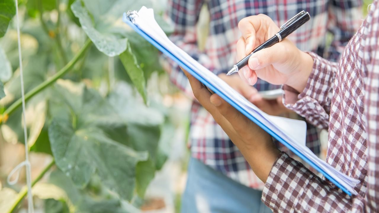 The Digital Crop Survey is an initiative to digitize and automate the process of collecting agricultural data. (Image Courtesy- Freepik)