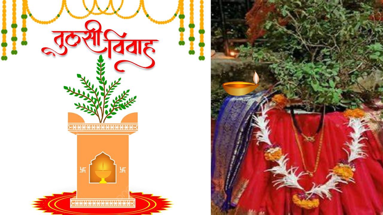 Tulsi is decorated like a bride in a saree or dupatta, while Lord Shaligram is decorated like the groom. (Photo: Canva/Pngtree)