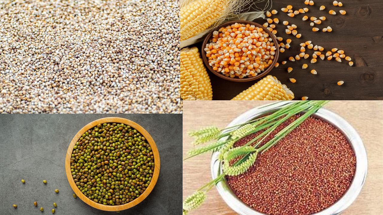 Only moong (green gram), maize, ragi (finger millet), and bajra (millet) are at lower levels. (Photo: Canva)