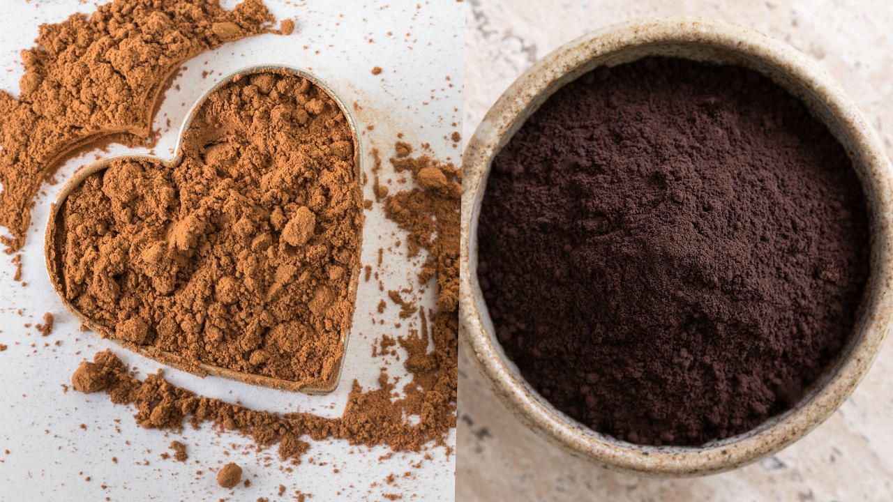 Choosing the right cocoa powder for a recipe is the key to creating the right texture, flavor, and rise in baked goods. (Photo: Canva)