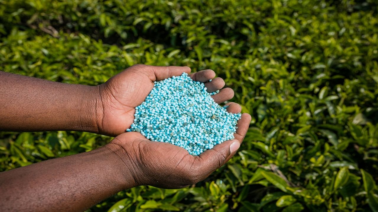 Government Expects 30-34% Decline in Fertiliser Subsidy Bill Amidst ...