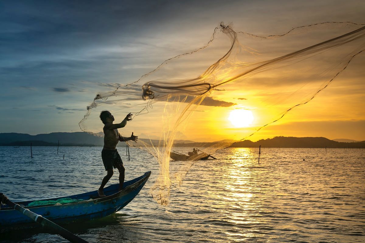 Historic Budgetary Allocation and Visionary Policies Propel India's Fisheries Sector into New Heights in FY 2024-25 (Photo Source: Pexels)