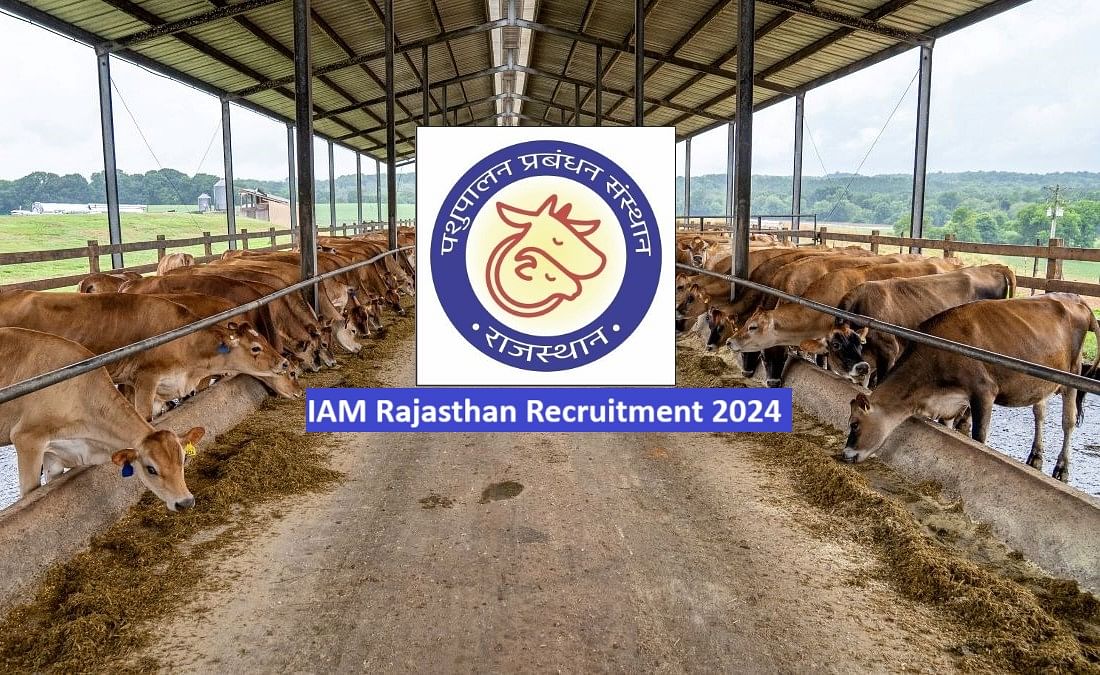 IAM Rajasthan Recruitment 2024: Check Direct Link to Apply for 3090 Vacancies, Application Fee, Important Dates, Pay Scale (Photo Source: Pexels)