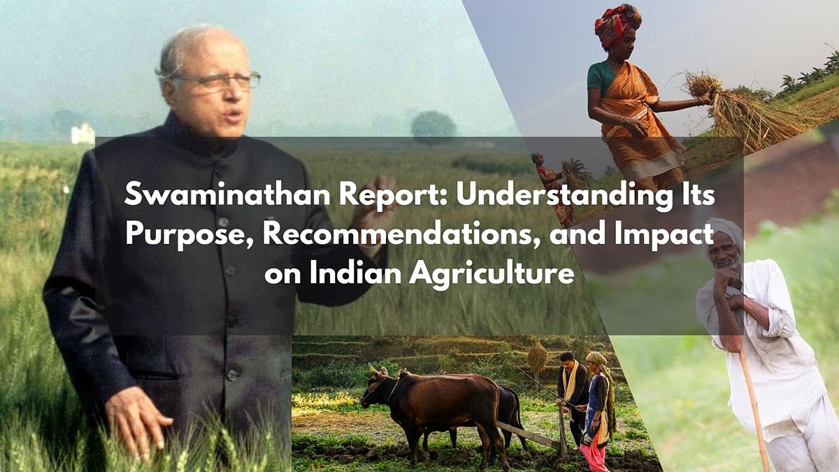 Swaminathan Report: Understanding Its Purpose, Recommendations, and Impact on Indian Agriculture (Photo Source: mssrf/pixabay)