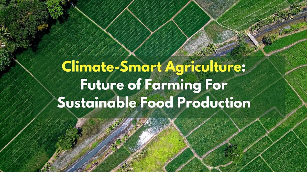 Green is the New Gold: Climate-Smart Agriculture Promises Sustainable Food Production