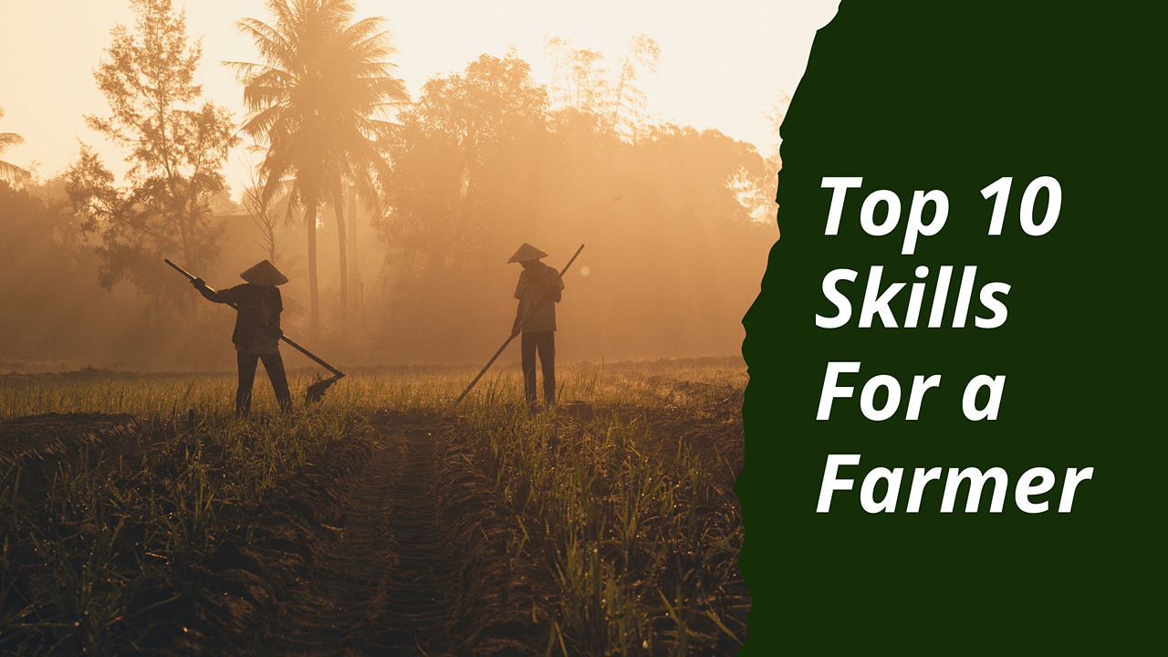 Top 10 Must-Have Skills for Every Farmer, Image Source: Canva