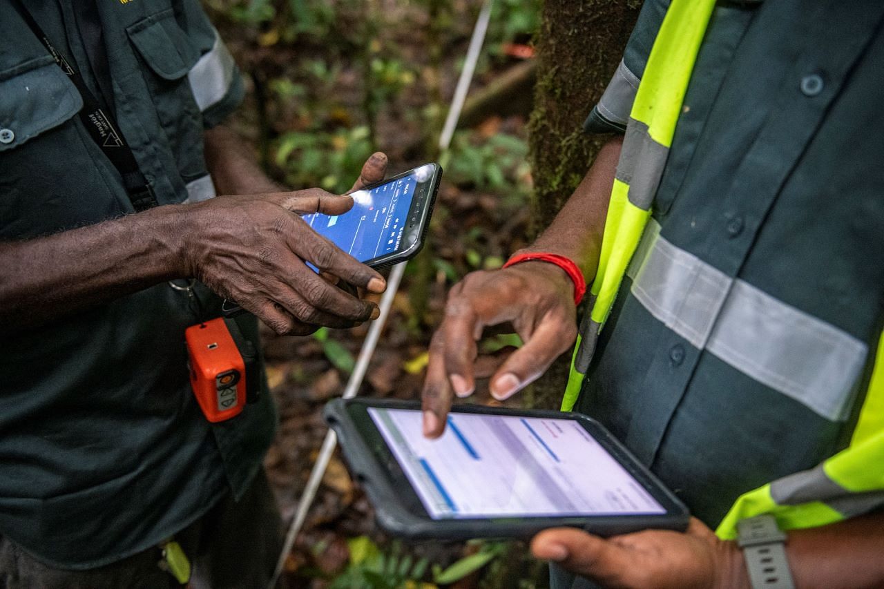 FAO, Google, and Partners Launches ‘Ground’ App to Empower Forest Monitoring and Protection Efforts